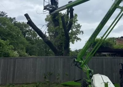 Affordable-Tree-Service