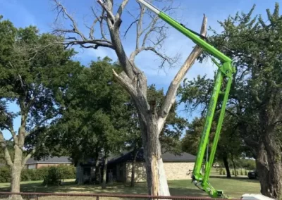 Comprehensive-Tree-Service