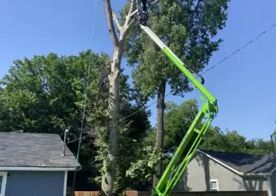 Dedicated-Tree-Service