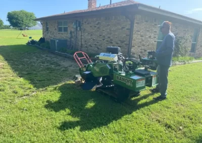 Eco-Friendly-Tree-Service