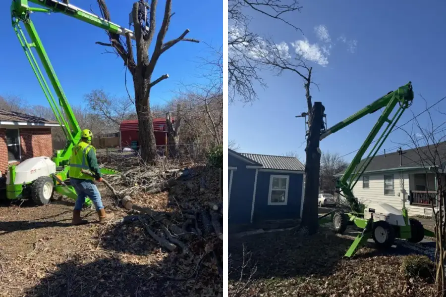 Excellent Tree Service