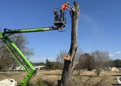 Flawless-Tree-Removal