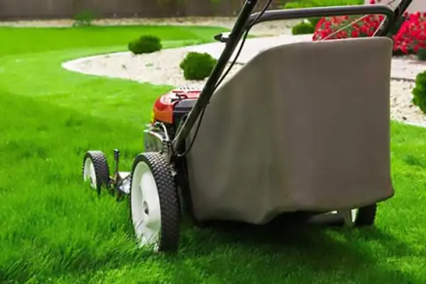 Lawn Care