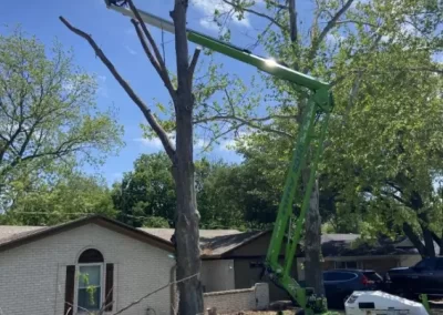 Professional-Tree-Service