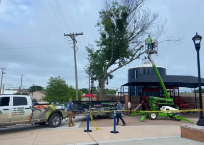 Quality-Tree-Service