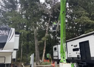 Reliable-Tree-Service