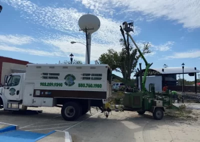 Skilled-Tree-Service