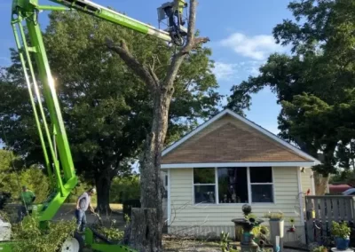 Specialized-Tree-Service