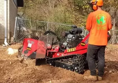 Stump-Removal