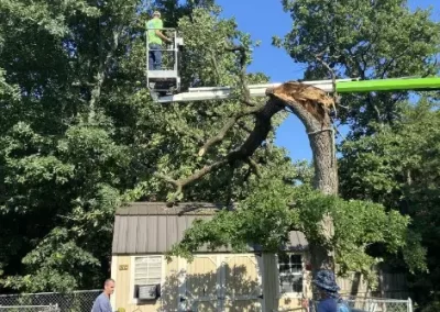 Top-Rated-Tree-Service