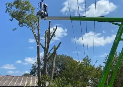 Tree-Care