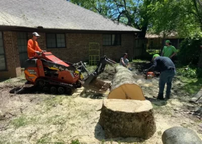 Trusted-Tree-Service