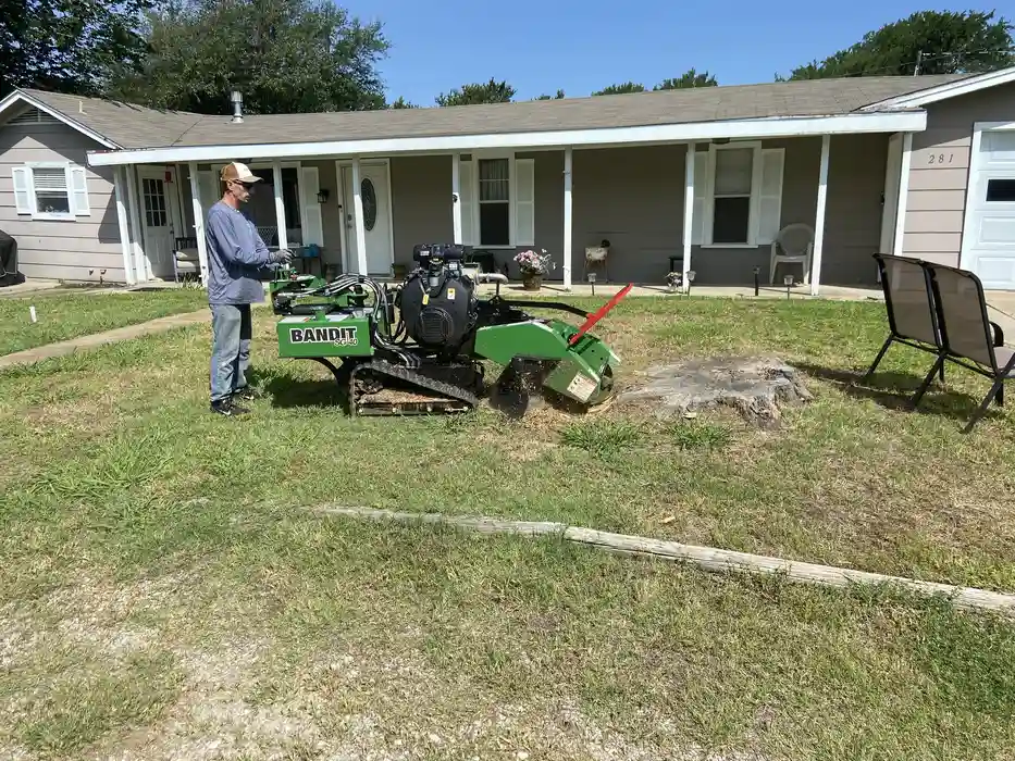 Eco Friendly Tree Service in Sherman, TX