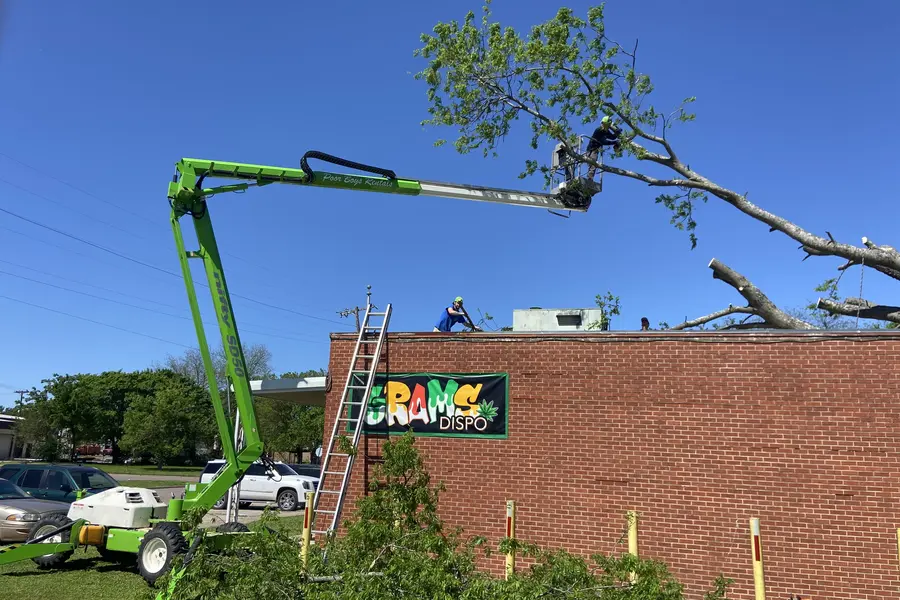 Reliable Tree Services