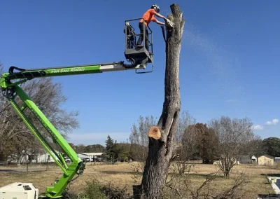 Tree Service